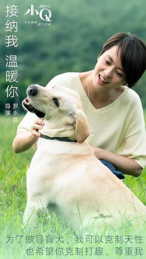 农村房产证更换户主需要什么手续